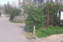 Прибудинкова територія будинку № 5 на вулиці Залізничників в селищі Усатове