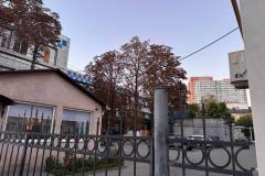Відновлення пологового на Донорській