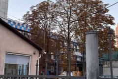 Відновлення пологового на Донорській
