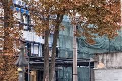 Відновлення пологового на Донорській