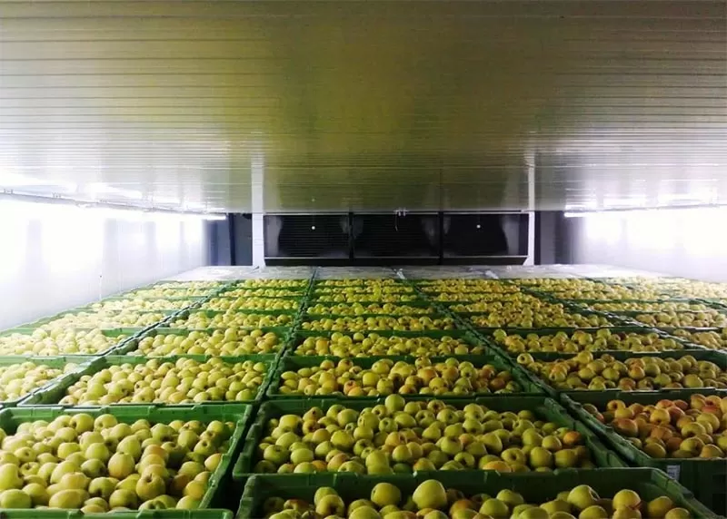 Шлакоблоки замість цегли: на Миколаївщині відкрили провадження через будівництво овочесховища