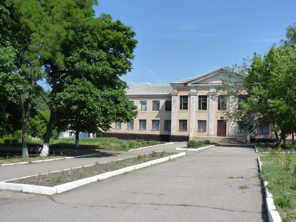 Ремонти ліцею на Кіровоградщині перевіряють через можливу розтрату