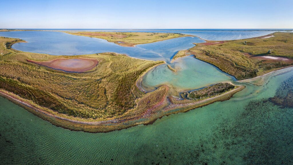 Замість захисту довкілля — махінації з грошима? Що відбувається в  нацпарку «Білобережжя Святослава» і чому там бояться повернення ексдиректора 