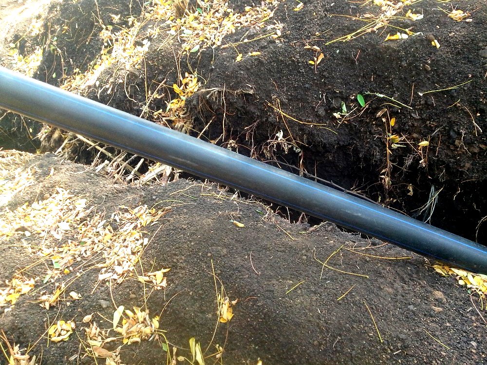 Від зерна до ремонтів: фірма ексдепутата отримала підрядів на понад 4 мільйони на Одещині