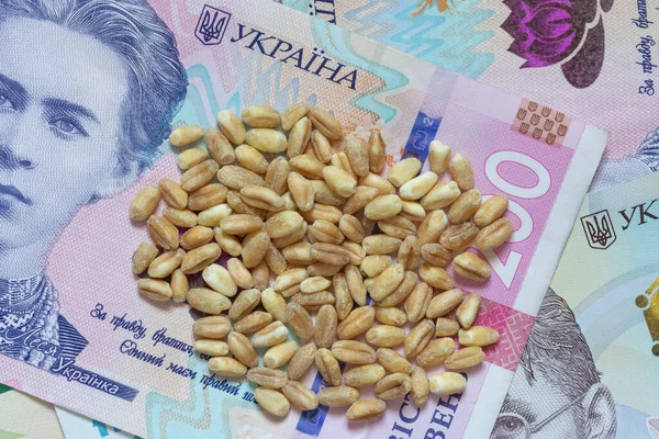 На Миколаївщині «консультант» спробував обійти аукціон з оренди зерносховищ: Суд виніс вирок