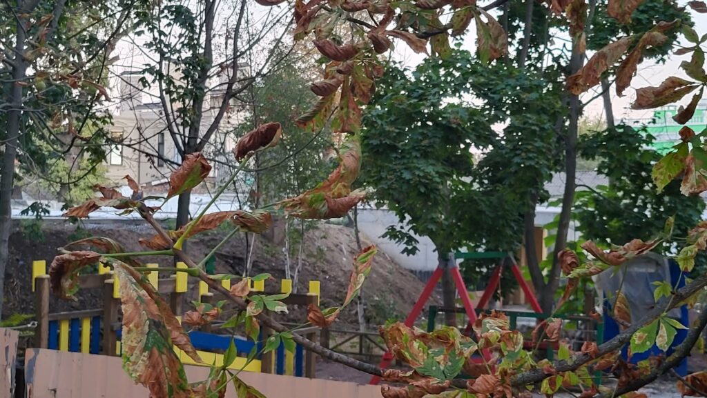 Підряднику віддали вже понад 23 мільйона, а захисна споруда досі не побудована: Що відбувається з укриттям в одеському центрі «Зоресвіт»?